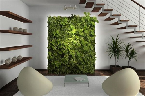 Phong Cách Nội Thất Eco Là Gì? Nét Đặc Trưng Và Mẫu Thiết Kế Đẹp